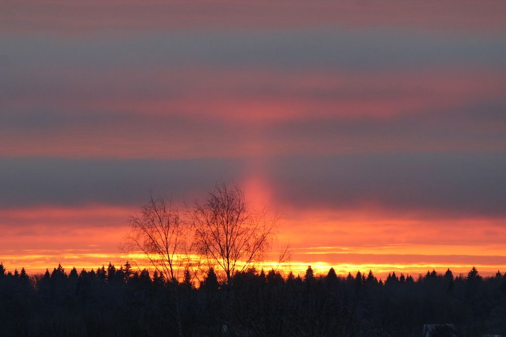 Photograph by Олеся Жакова