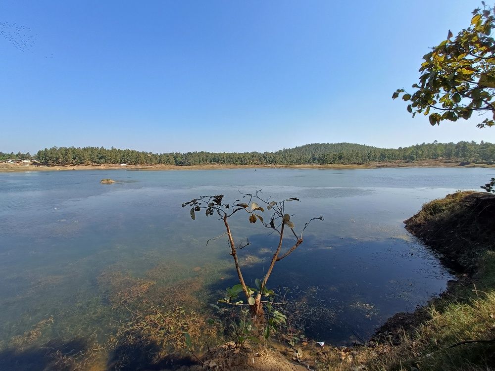 Photograph by Susmita Ghosh