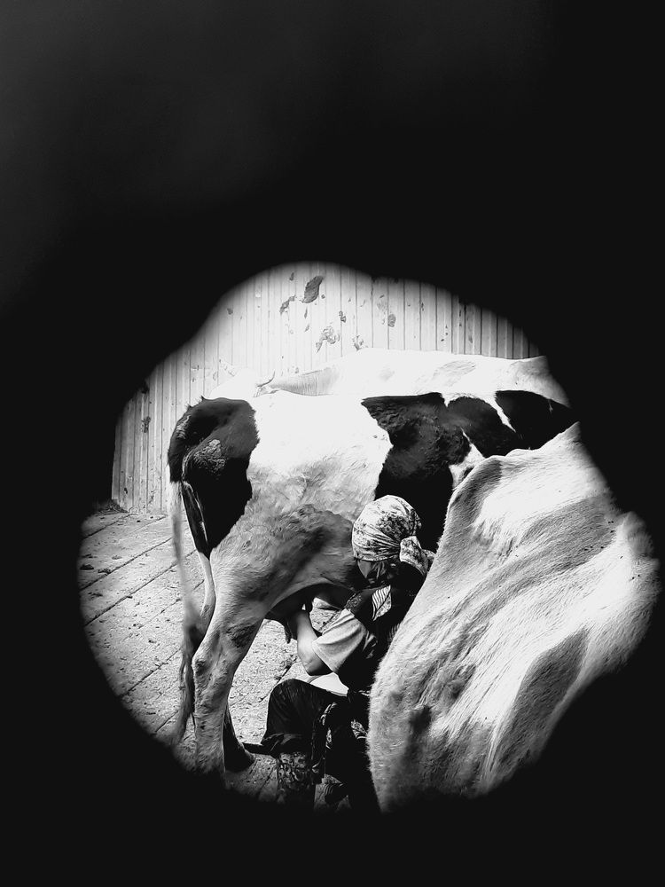 Photograph by Ксения Олина