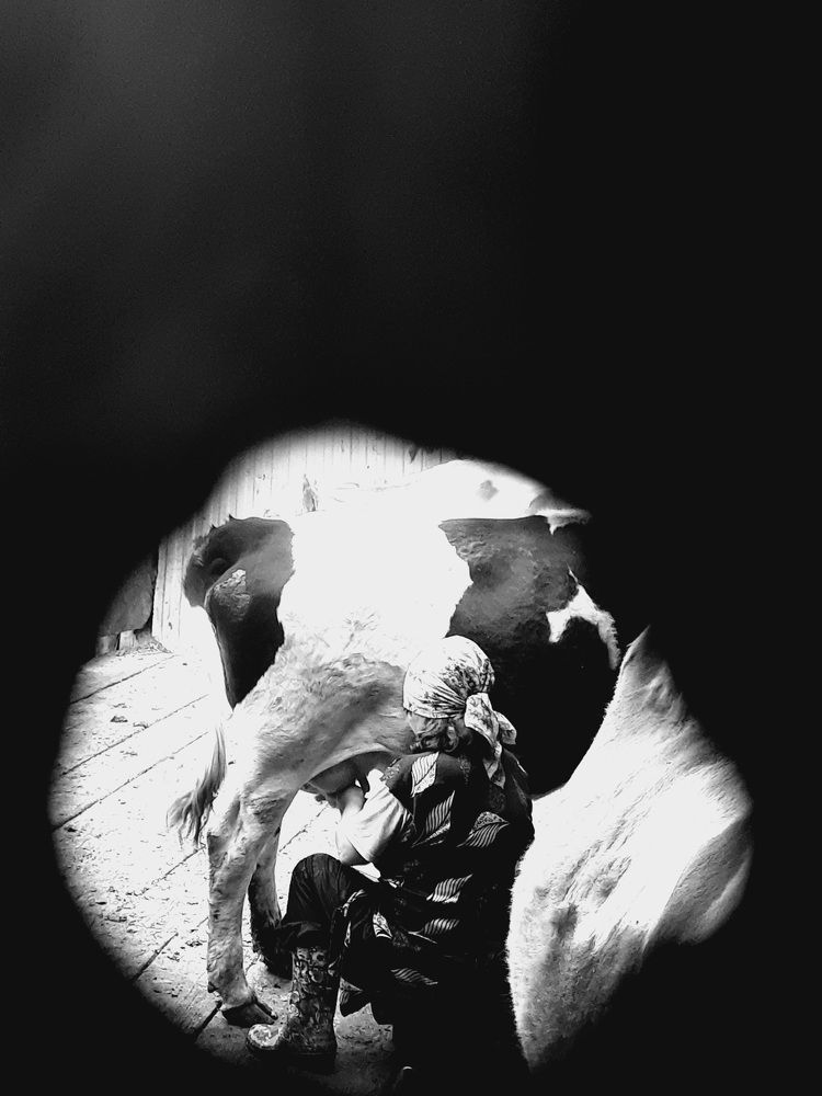 Photograph by Ксения Олина