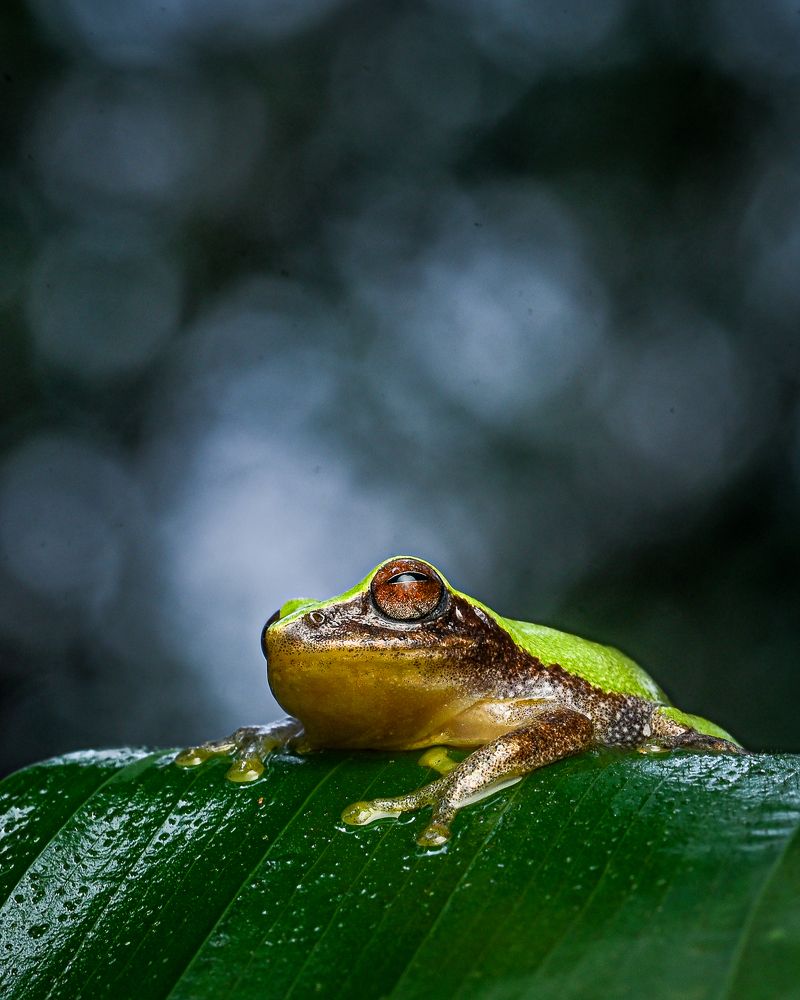 Photograph by RASHIN KARAYI