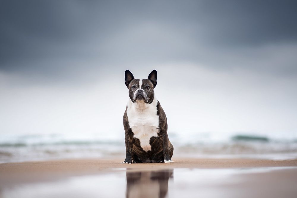 Фотография автора lucia saiz