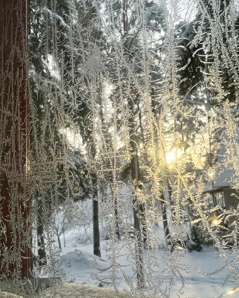 Новогоднее утро в деревне