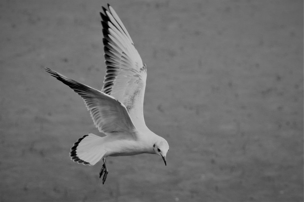 Photograph by Bulent Karaduman