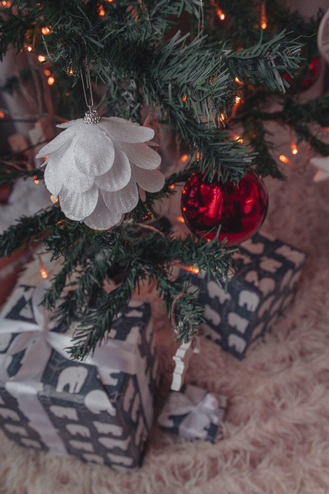 Photograph by Зульфия Вакилова