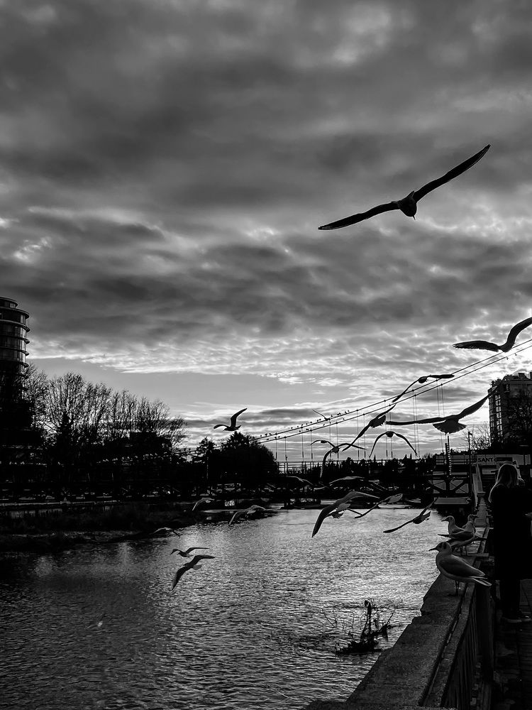 Photograph by Катерина Мак