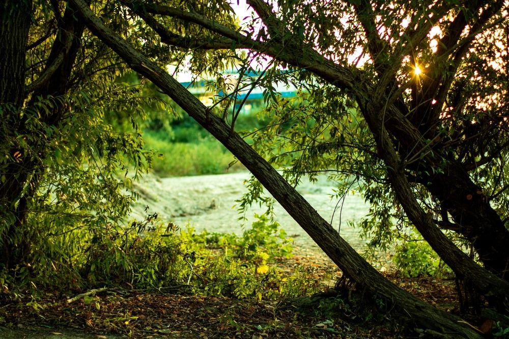 Photograph by Грета