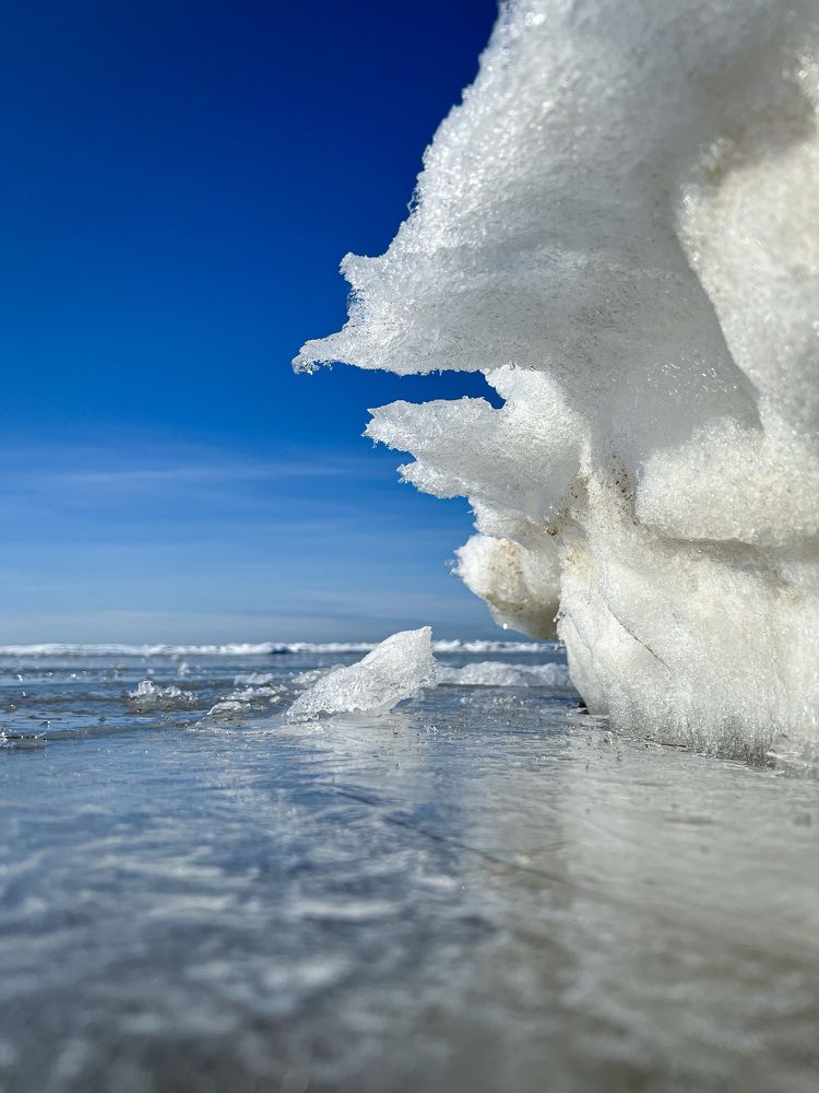 На берегу Балтийского моря