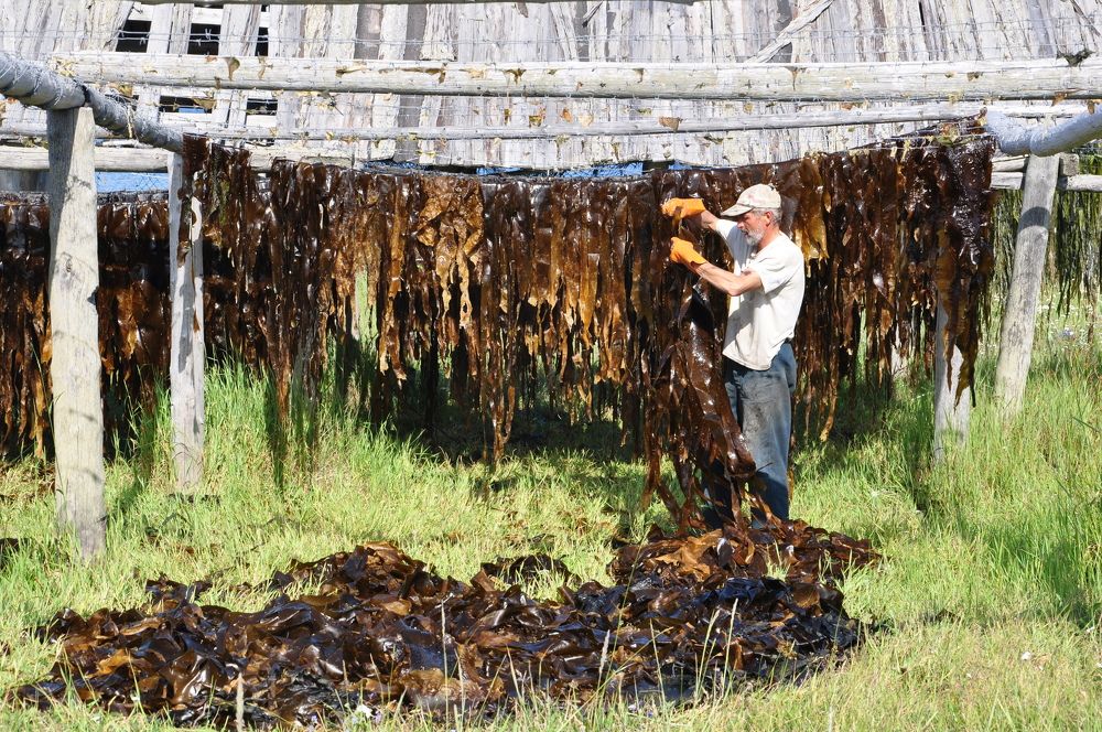 Photograph by виктория воронова