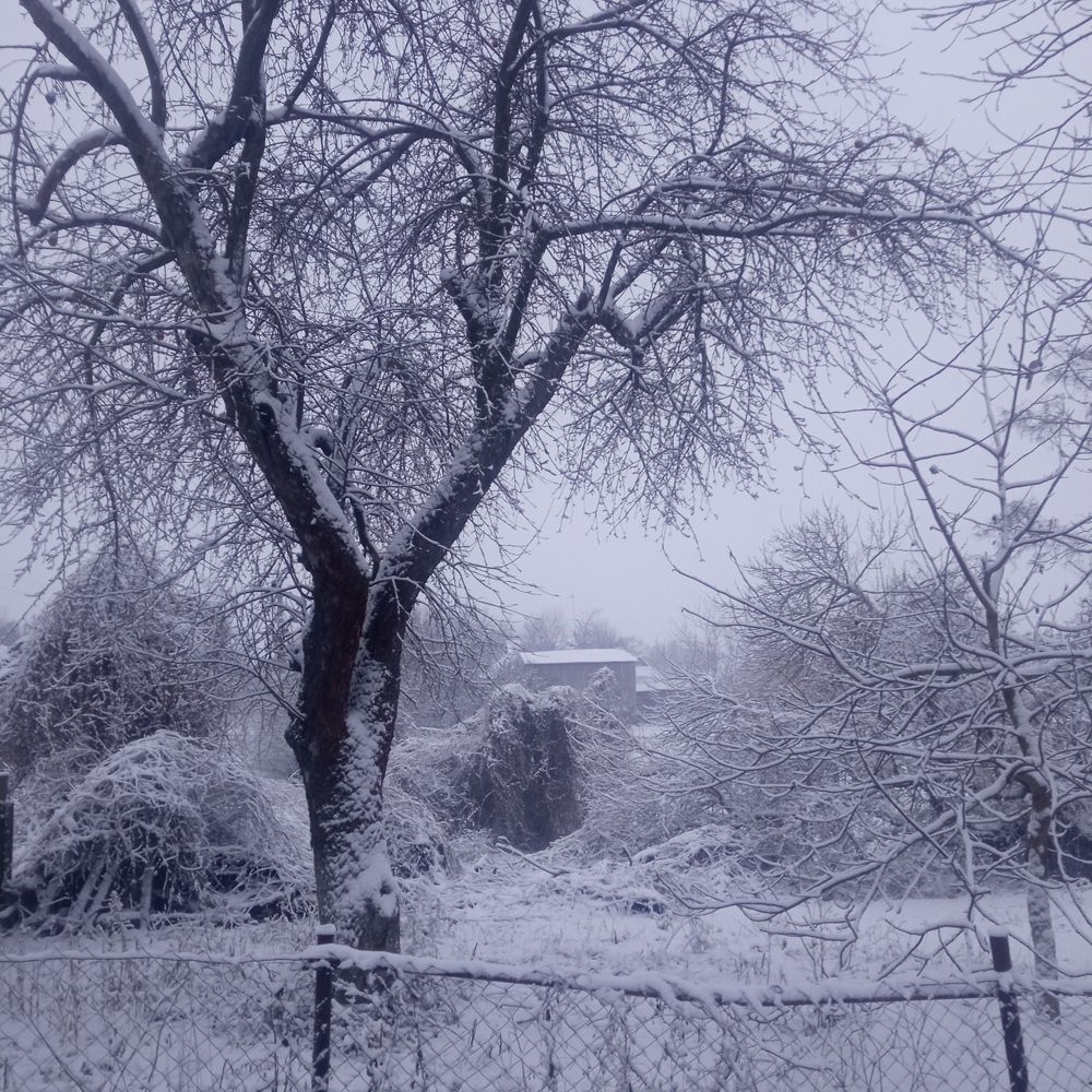 Photograph by Ирина Шаповалова
