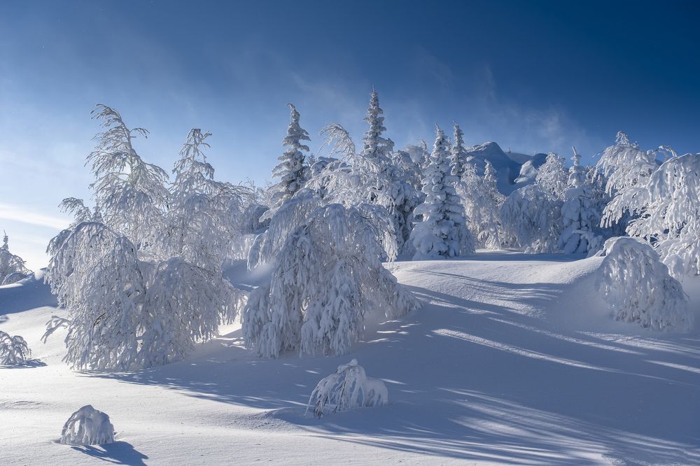 Photograph by Ирина Толокновская