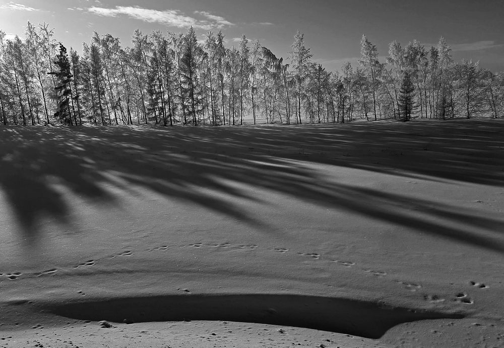 Фотография автора Владимир