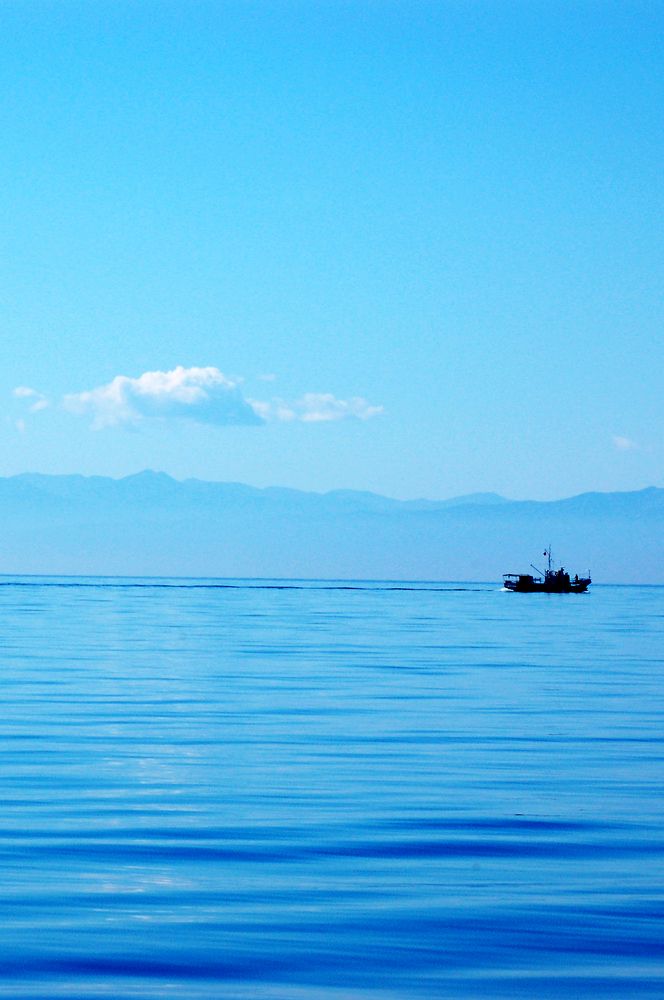 Фотография автора Анатолий Мацеля