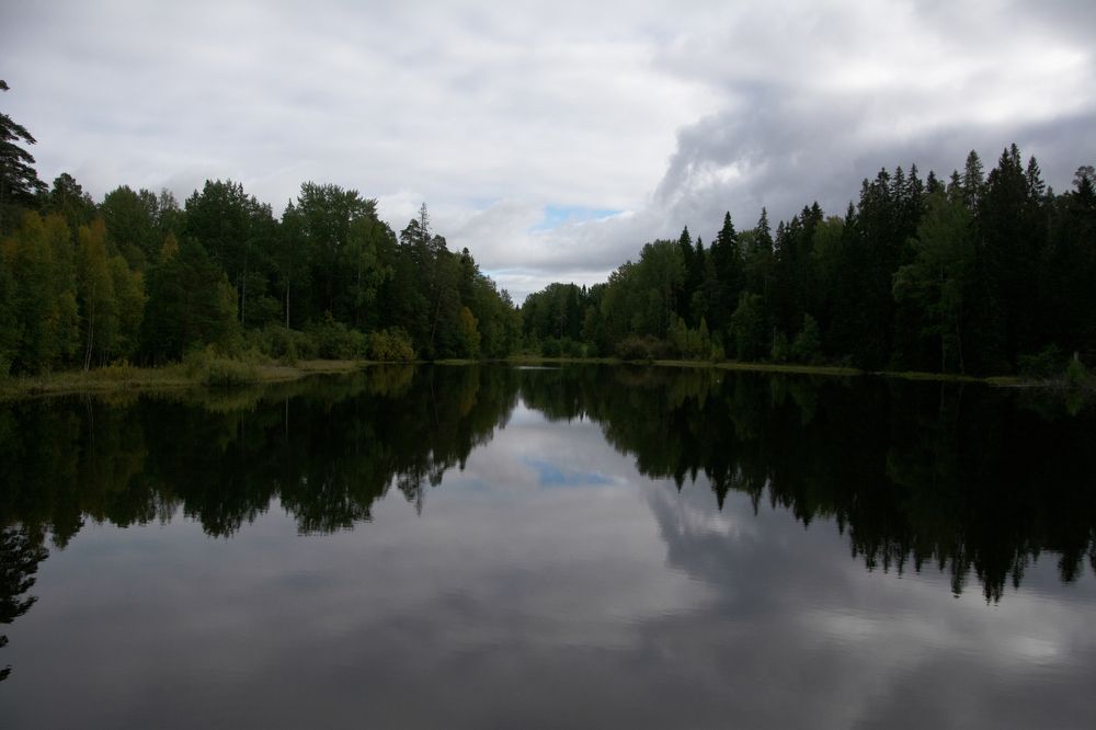 Фотография автора Анатолий Мацеля