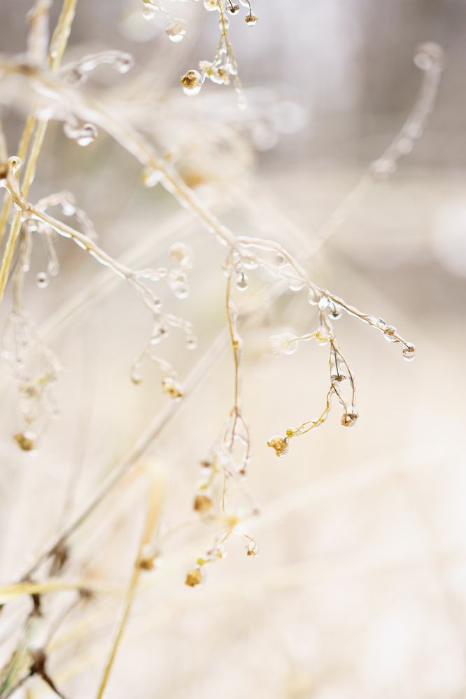 Photograph by Елизавета Фирстова