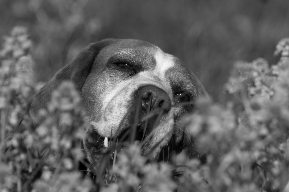 Photograph by Юлия Куликова