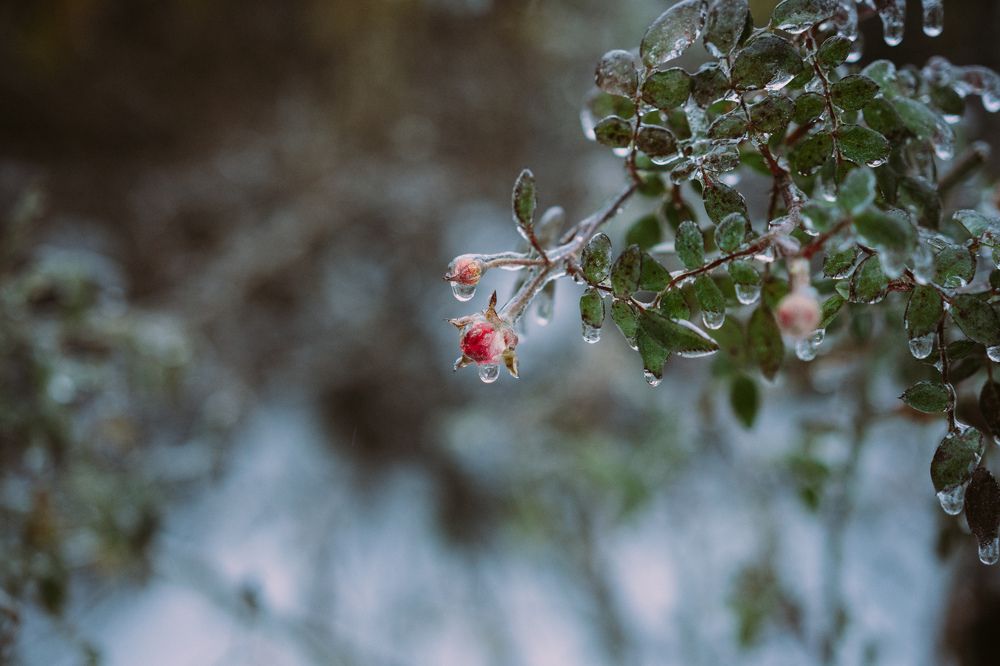 Photograph by Елизавета Фирстова