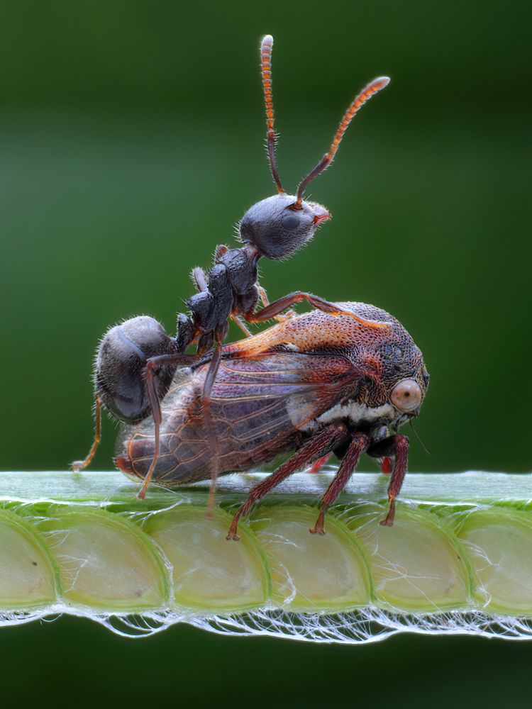 Photograph by Chen-You Li