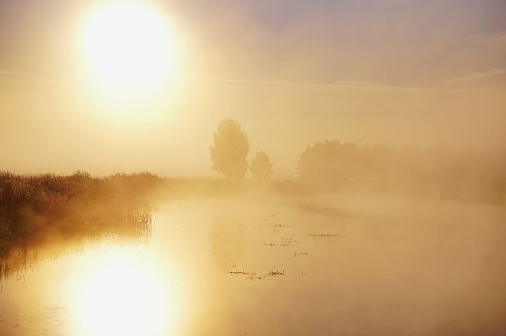 Photograph by Екатерина Яковлевская