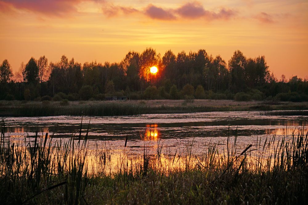 Photograph by Екатерина Яковлевская