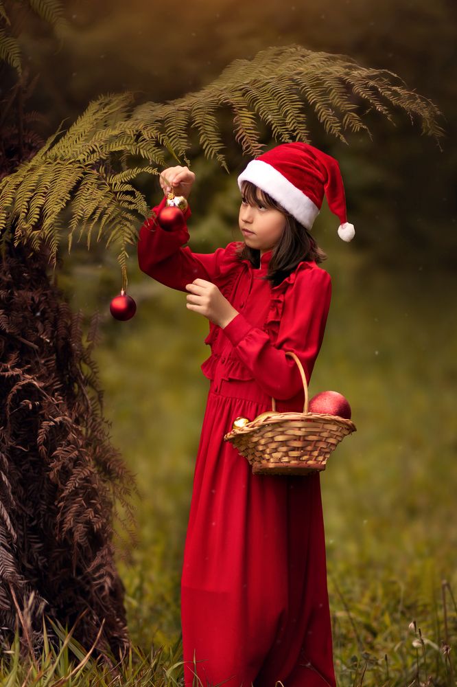 Photograph by Regiane Haverroth Scholze