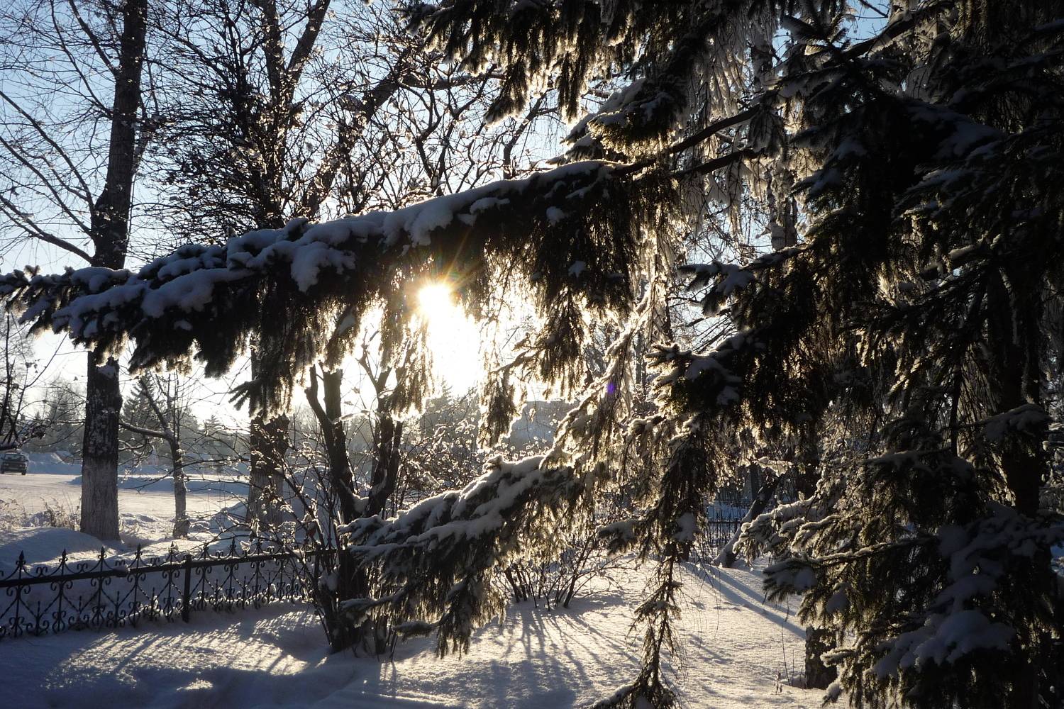 Photo #8621628