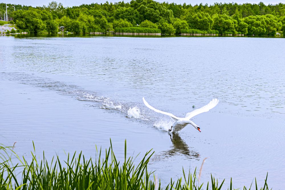 Photograph by Vladislav Srebniak