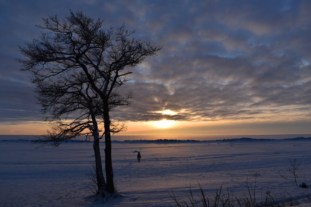 Фотография автора Екатерина Бисерова