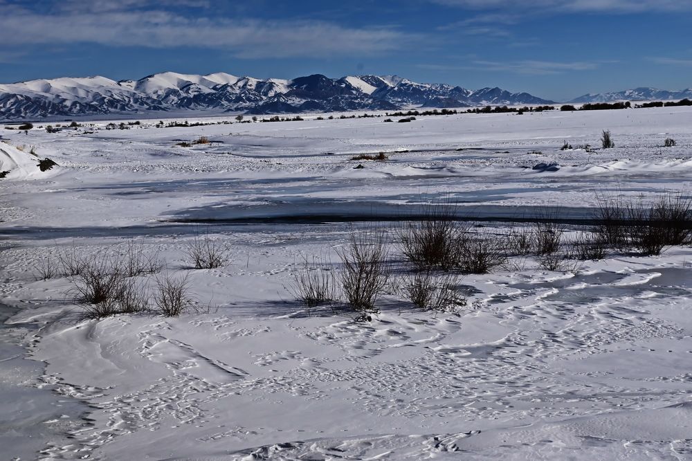 Photograph by Наталья Баранова