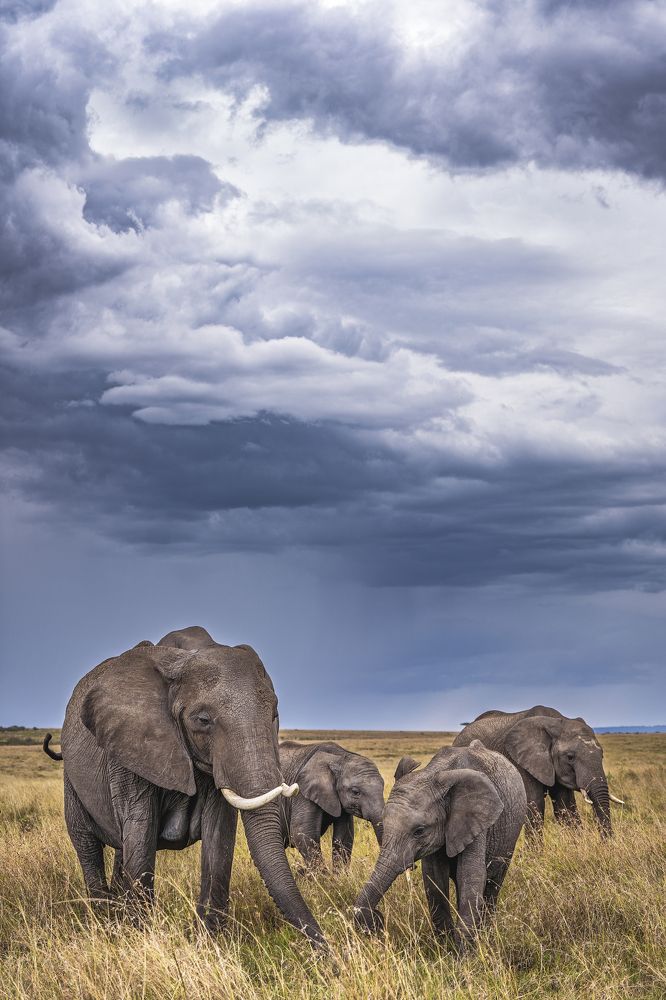 Photograph by Merche Llobera