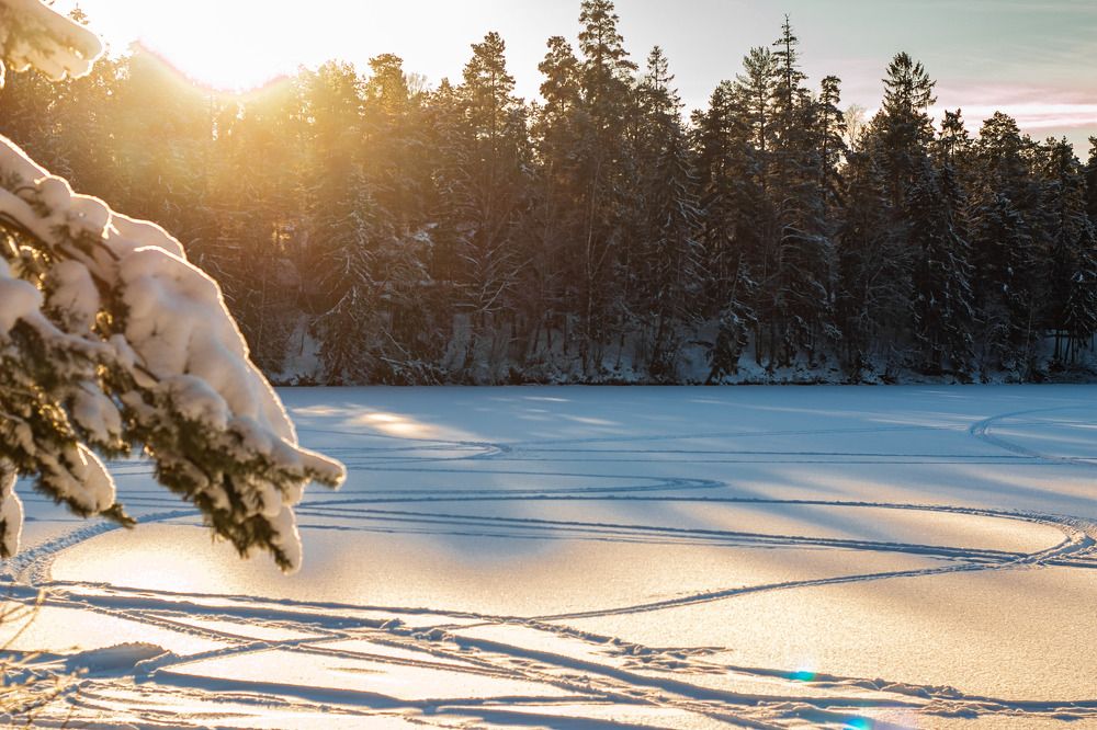 Photograph by Елена Павлова