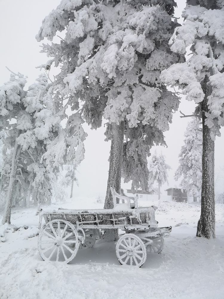 Photograph by Михаил Жарский