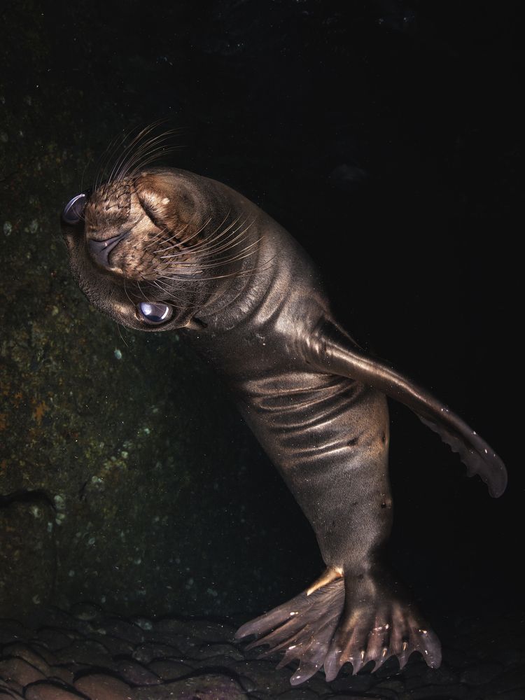 Photograph by Merche Llobera