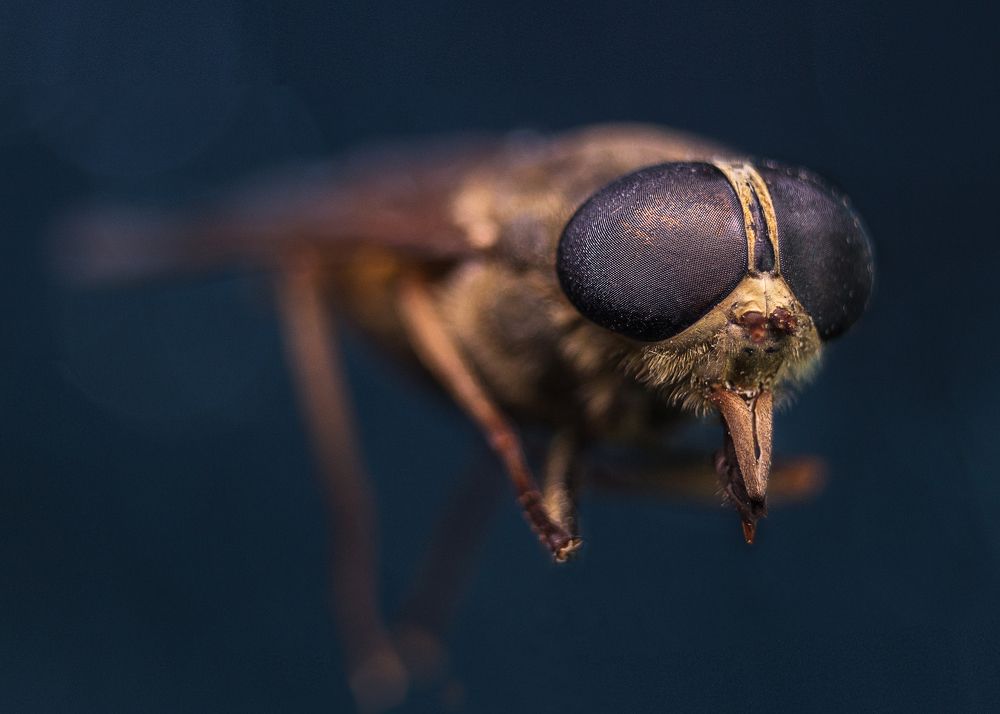 Photograph by Ольга Сергеенко