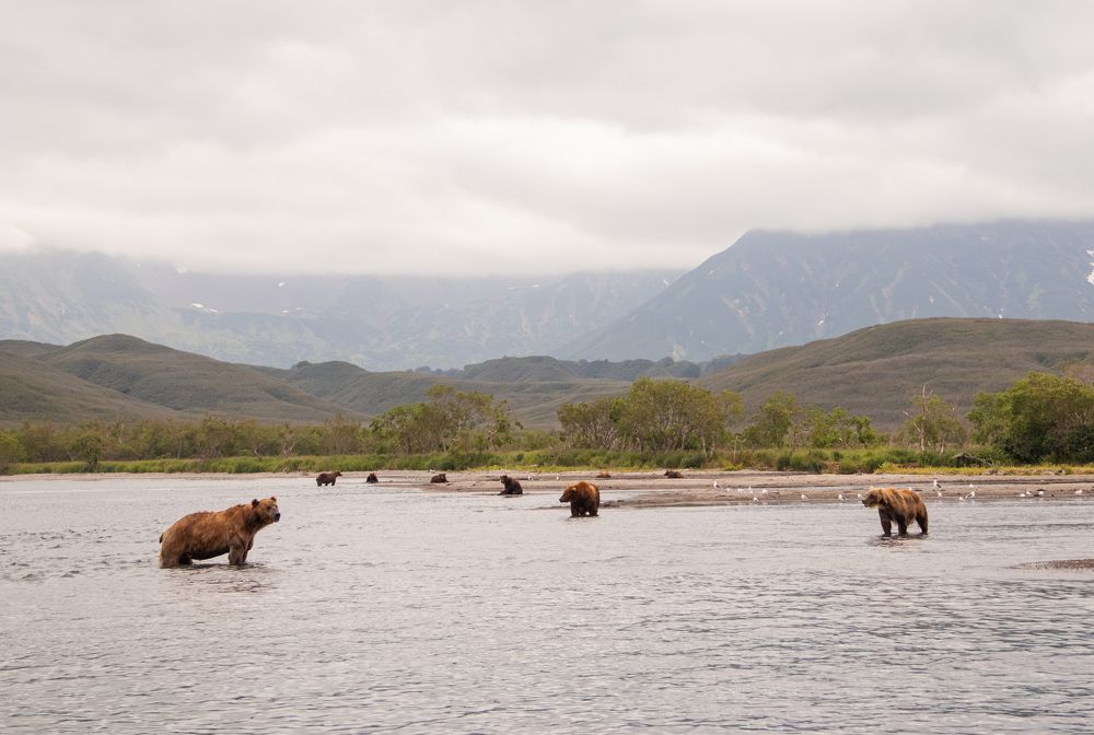 Photograph by Frolova Nataliya