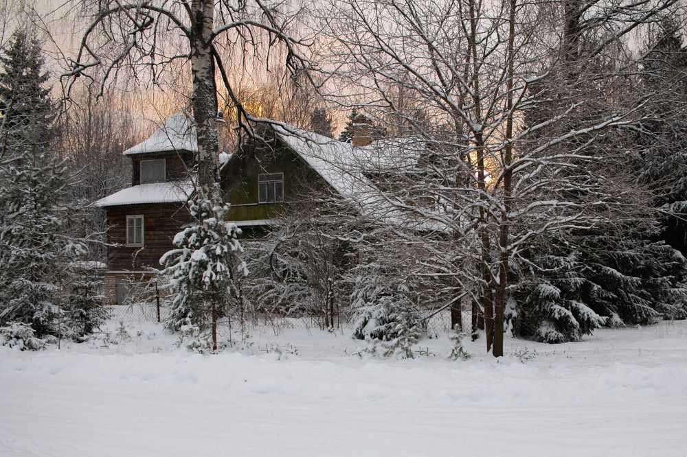 Photograph by Елена Павлова