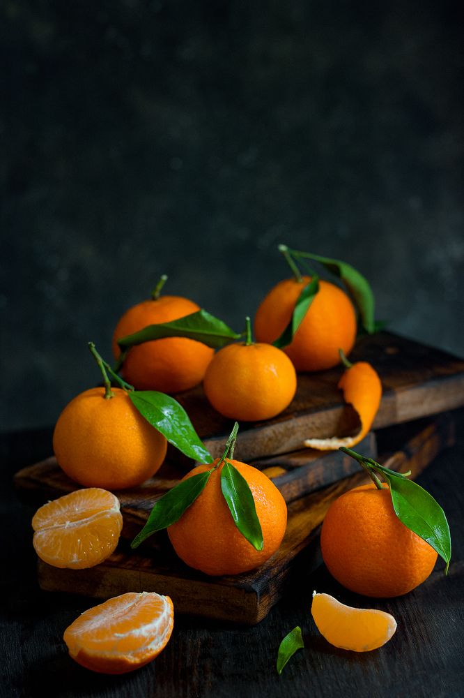 Photograph by Елена Стещенко