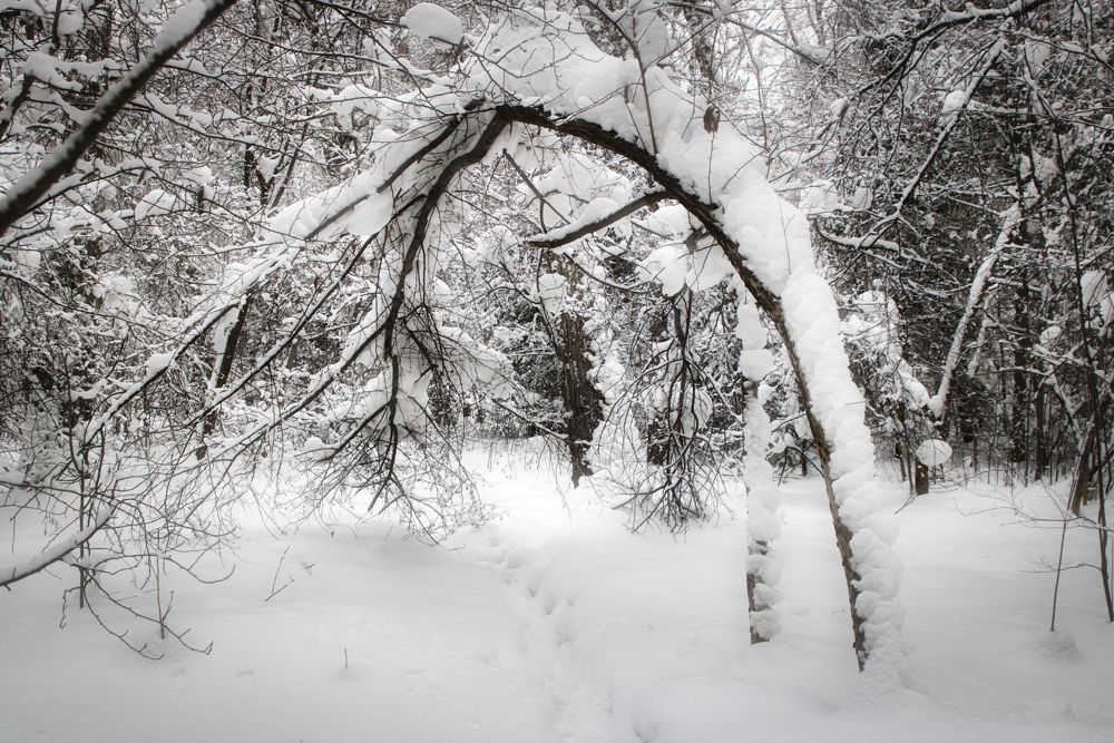 Photograph by Александр Лунин