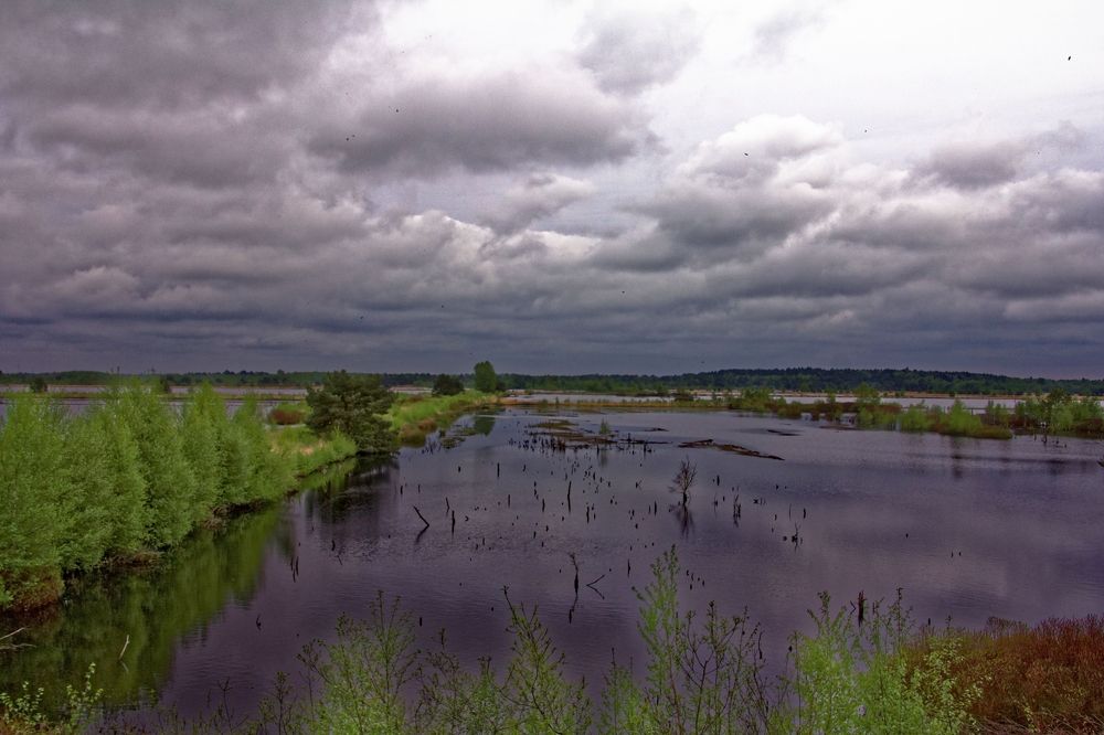 Photograph by Михаил Жарский