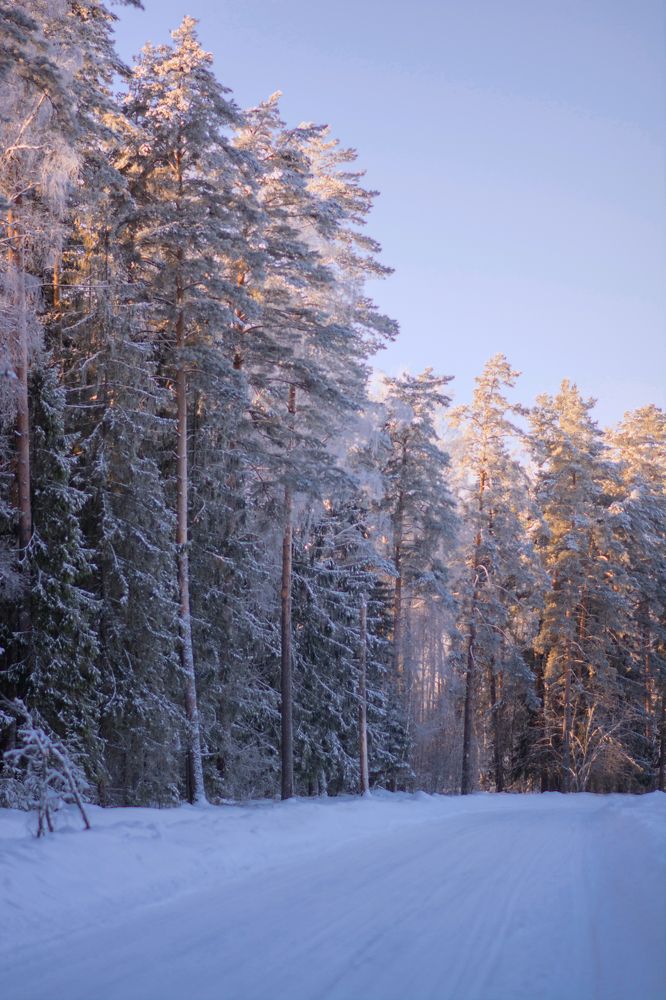 Фотография автора Марина Сокова