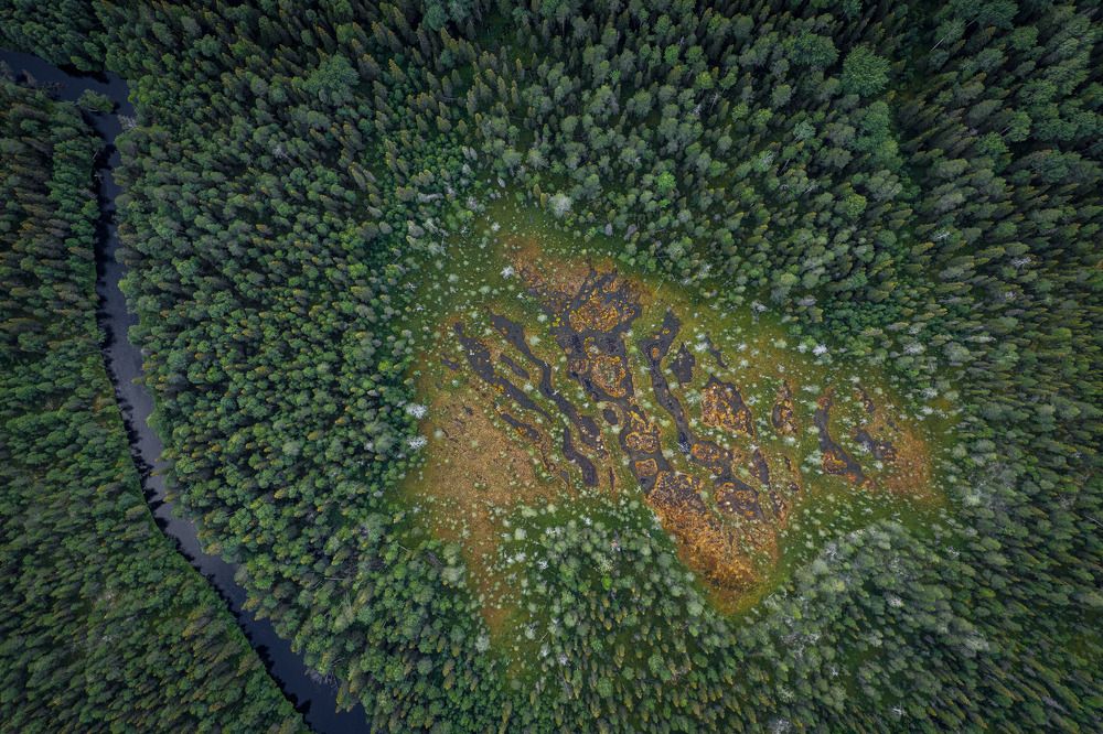 Photograph by vladimir