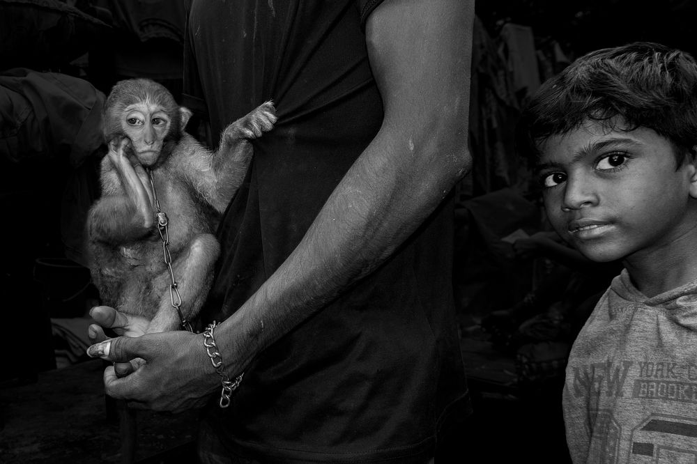 Photograph by Kuntal Biswas