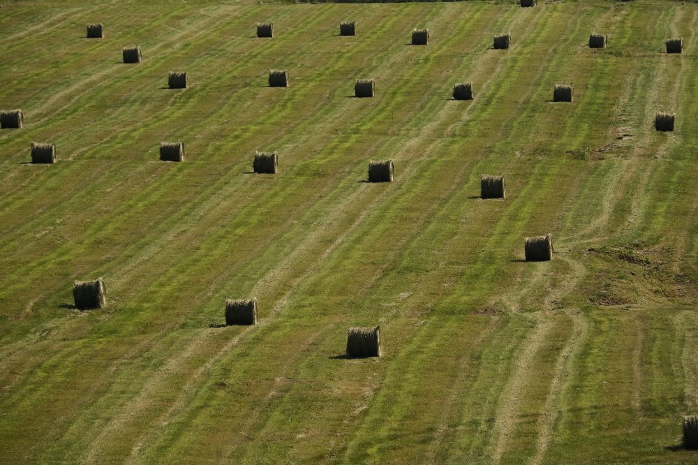 Фотография автора Кирилл Ямов