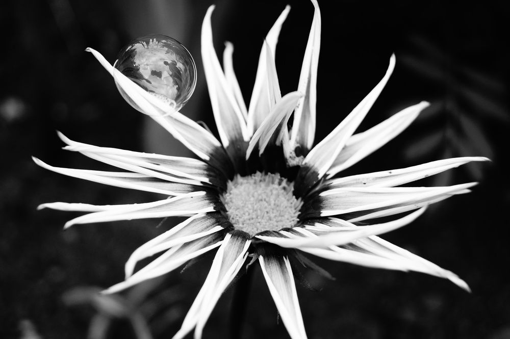 Photograph by Маргарита