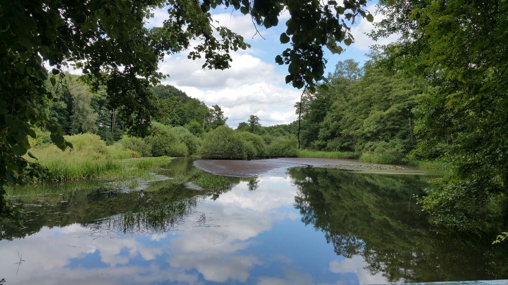 Photograph by Михаил Жарский