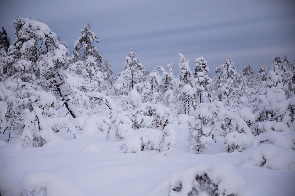 Photograph by Вязникова Анна