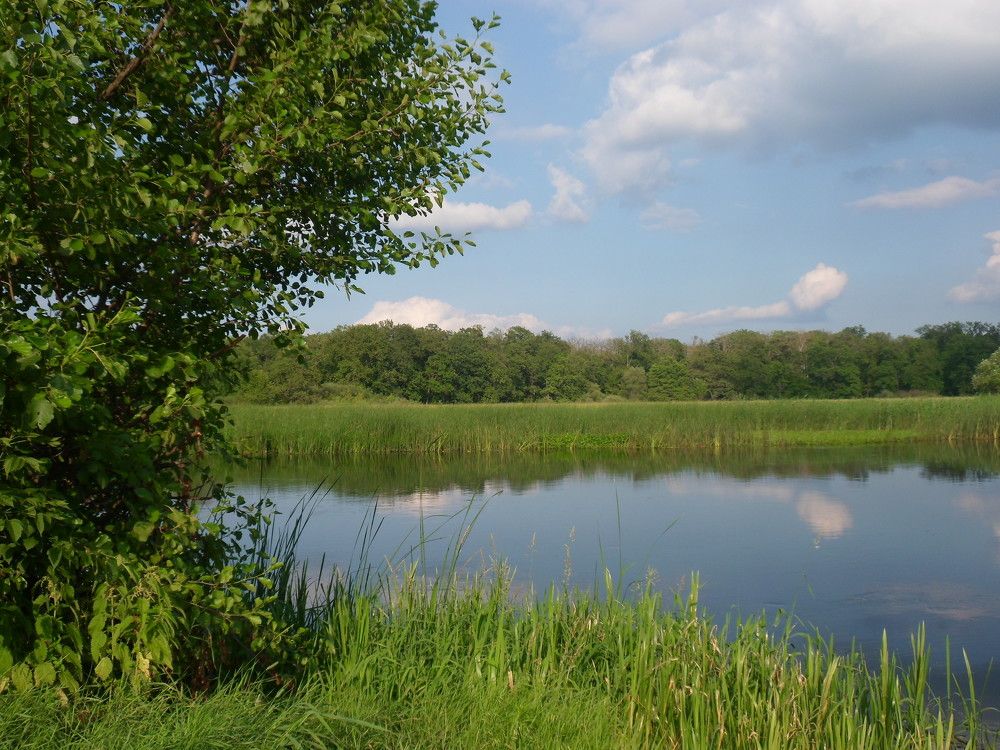 Photograph by Маша Худякова