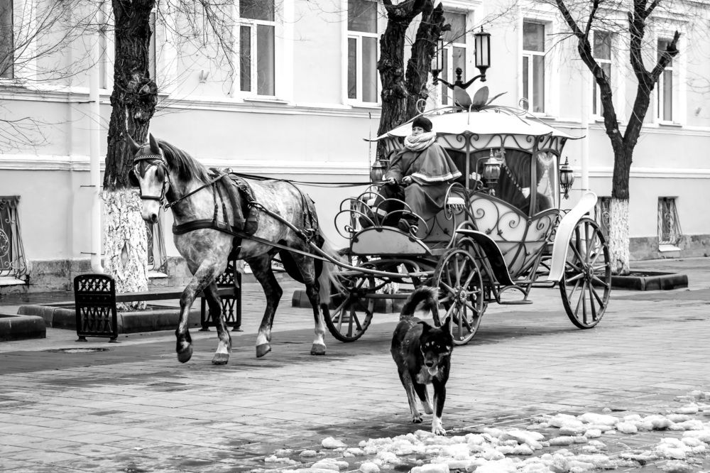 Photograph by Юлия Исковских