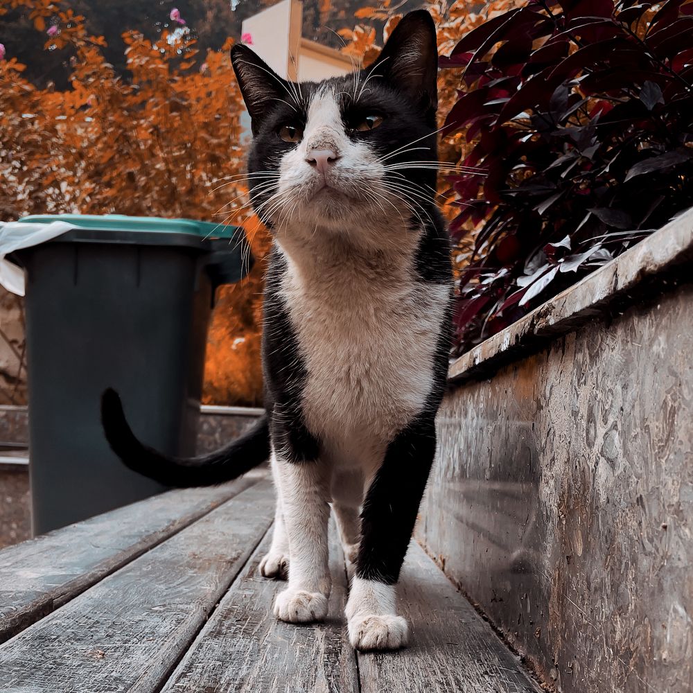 Photograph by Omar Khaled El Sayad