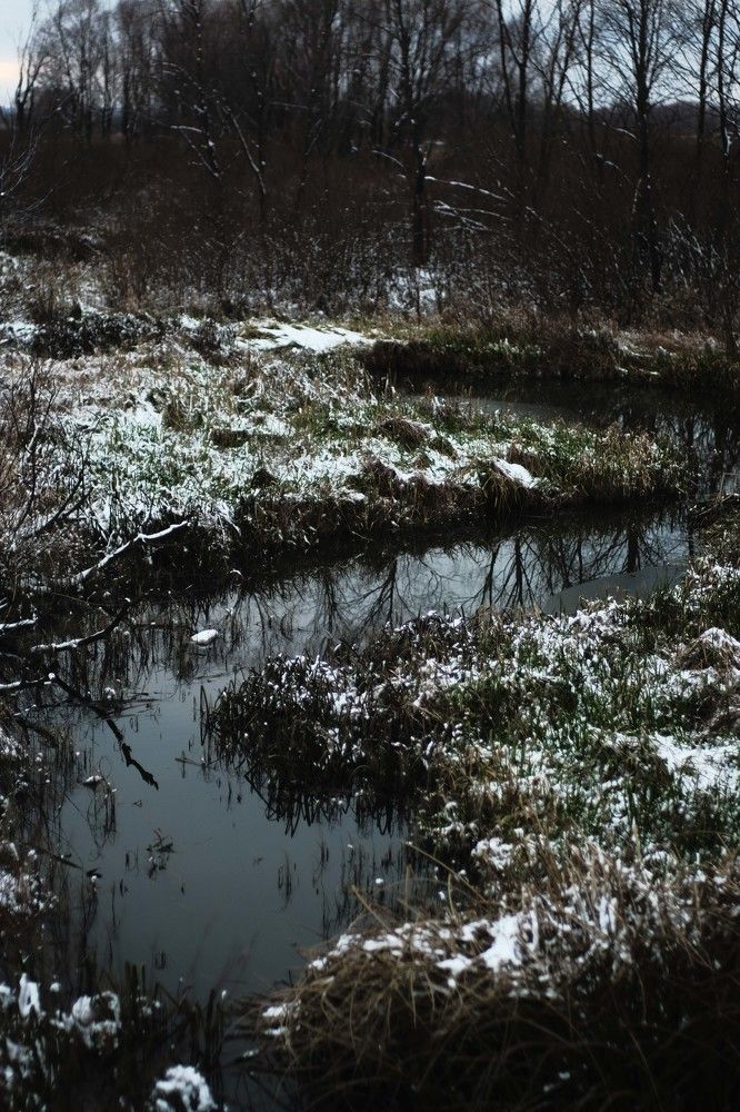 Фотография автора Кирилл Ямов